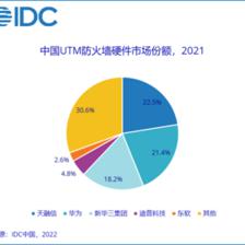 2021中国网络安全硬件市场解析 防火墙领域天融信领跑，行业迎来新机遇与挑战