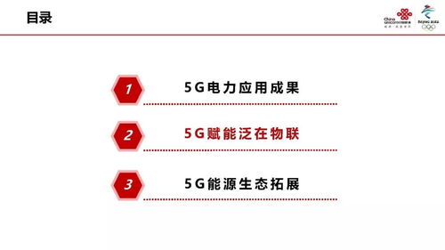 中国联通网络技术研究院张涌 5G使能泛在电力物联网
